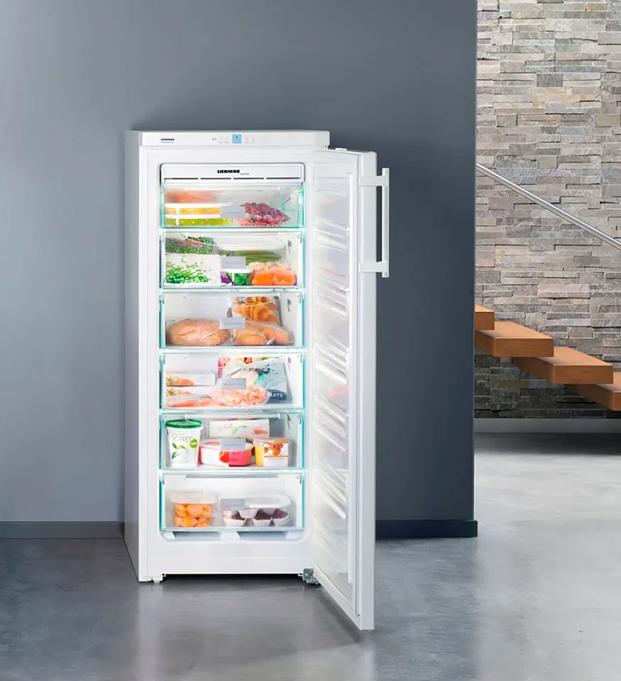 Морозильник Liebherr GNP 2313 (White)