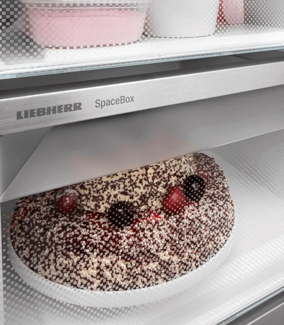 Морозильник Liebherr Plus SFNsfe 5227 (Silver)