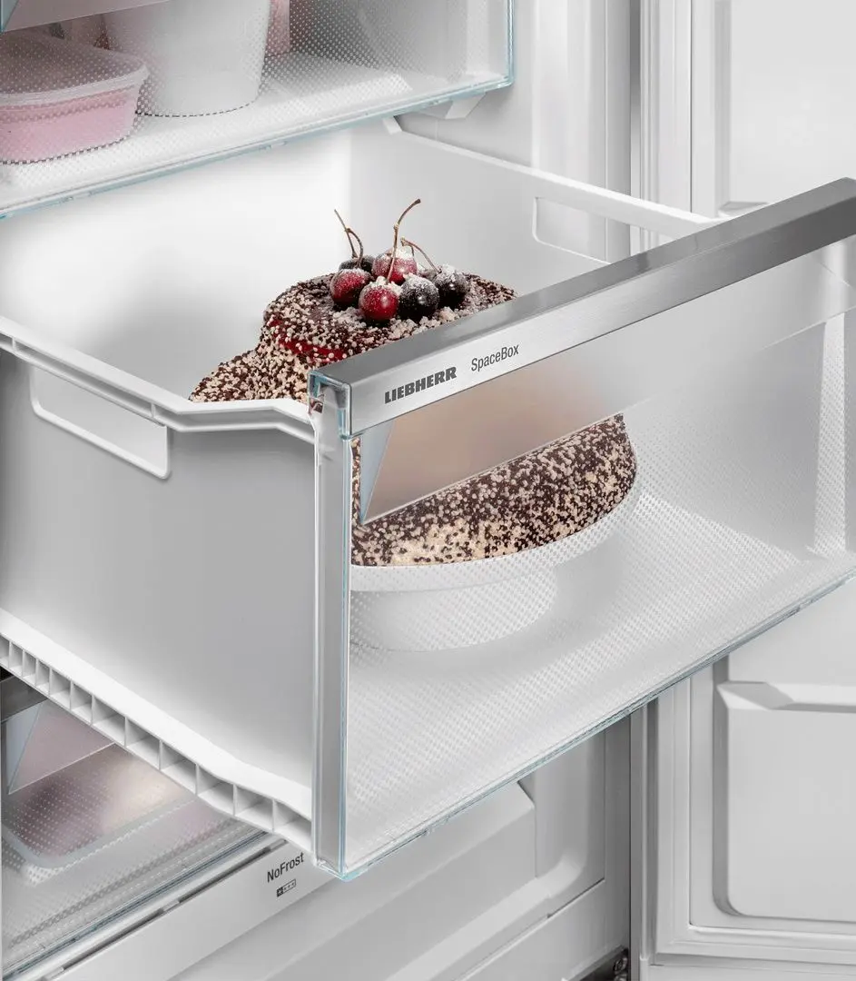 Морозильник Liebherr Plus SFNsfe 5227 (Silver)