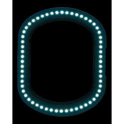 Лампа с лупой Elegante 6028 123738 (White) Thumb