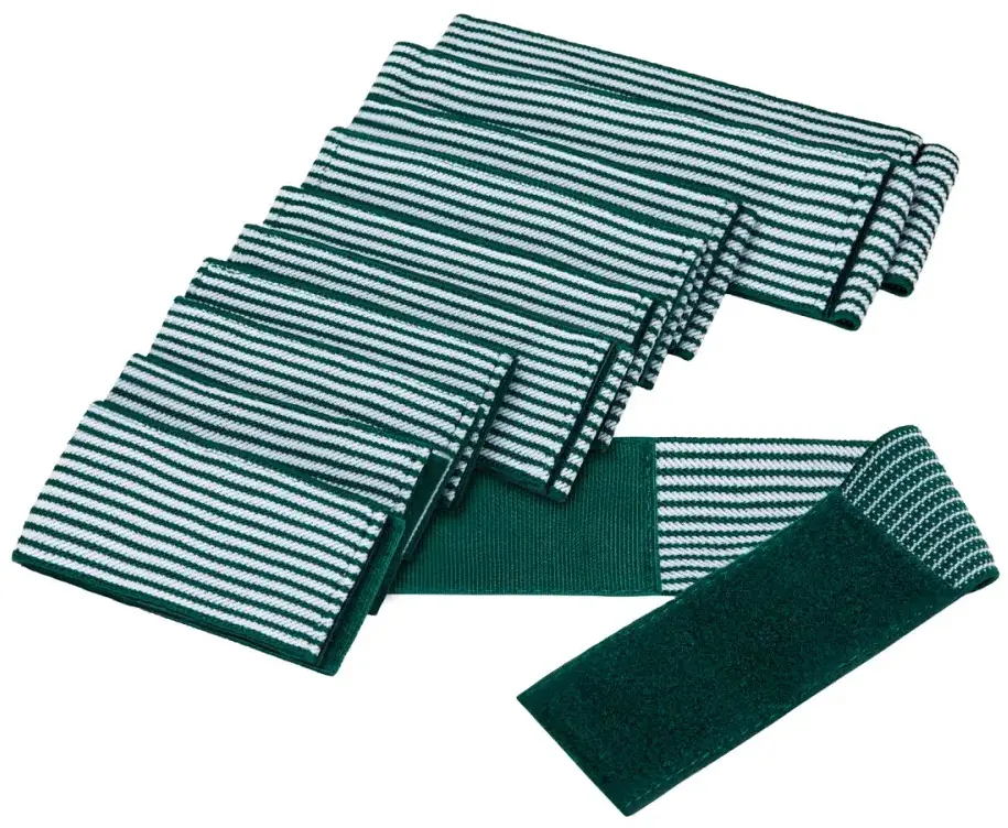 Stimulator electric muscular Elegante Platinum T9116 148161 (White)