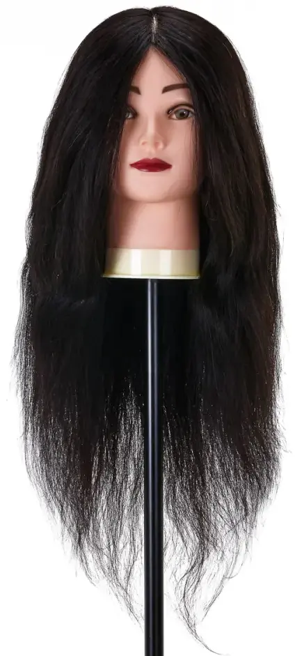 Голова-манекен учебная Gabbiano WZ1 1H 148400 (Brunet)