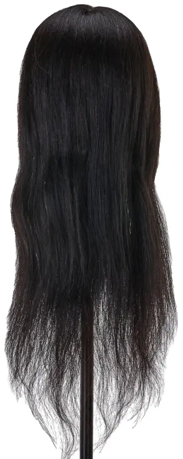 Голова-манекен учебная Gabbiano WZ1 1H 148400 (Brunet)