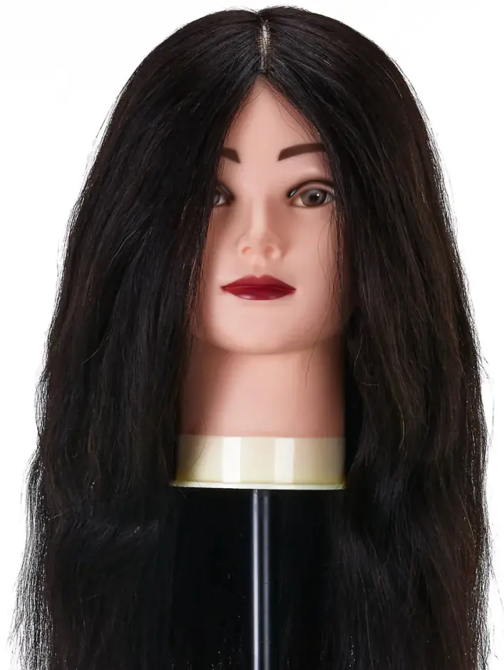 Голова-манекен учебная Gabbiano WZ1 1H 148400 (Brunet)