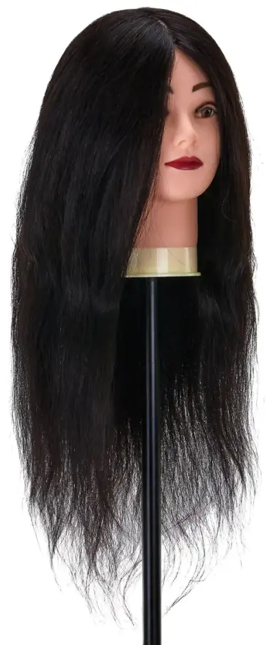 Голова-манекен учебная Gabbiano WZ1 1H 148400 (Brunet)