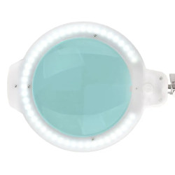 Лампа с лупой Glow Moonlight 8013/6