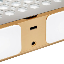 Вытяжка маникюрная Momo P30 155497 (White/Gold) Thumb
