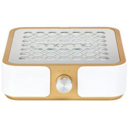 Вытяжка маникюрная Momo P30 155497 (White/Gold) Thumb