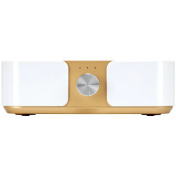 Вытяжка маникюрная Momo P30 155497 (White/Gold) Thumb