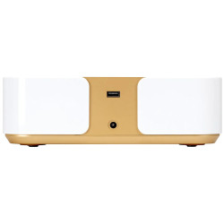Вытяжка маникюрная Momo P30 155497 (White/Gold) Thumb