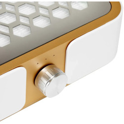 Вытяжка маникюрная Momo P30 155497 (White/Gold) Thumb