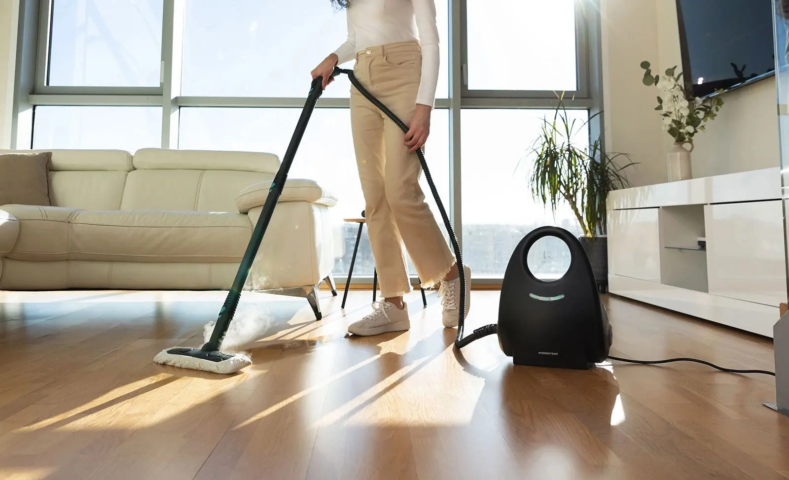 Пароочиститель Cecotec HydroSteam 2030 Active (Black)