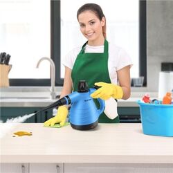 Пароочиститель Costway EP24979DE-BL (Blue/Black) Thumb