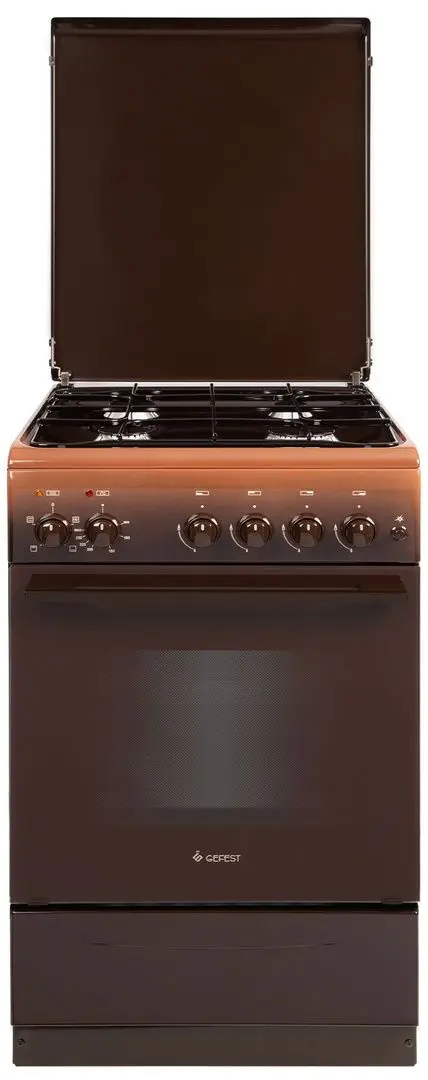 Комбинированная плита Gefest ПГЭ 5102-01 0139 (Brown)