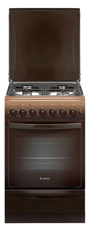 Комбинированная плита Gefest ПГЭ 5102-02 0301 (Brown)