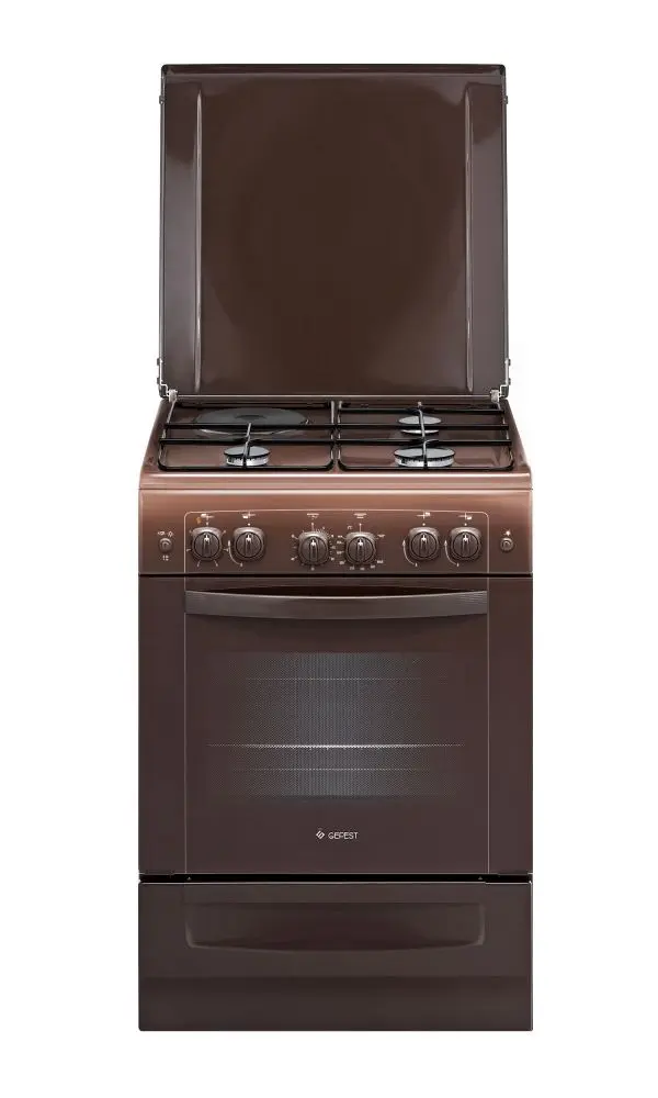 Комбинированная плита Gefest ПГЭ 6110-02 0301 (Brown)