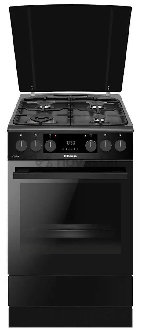 Газовая плита Hansa FCMM58329 (Black)
