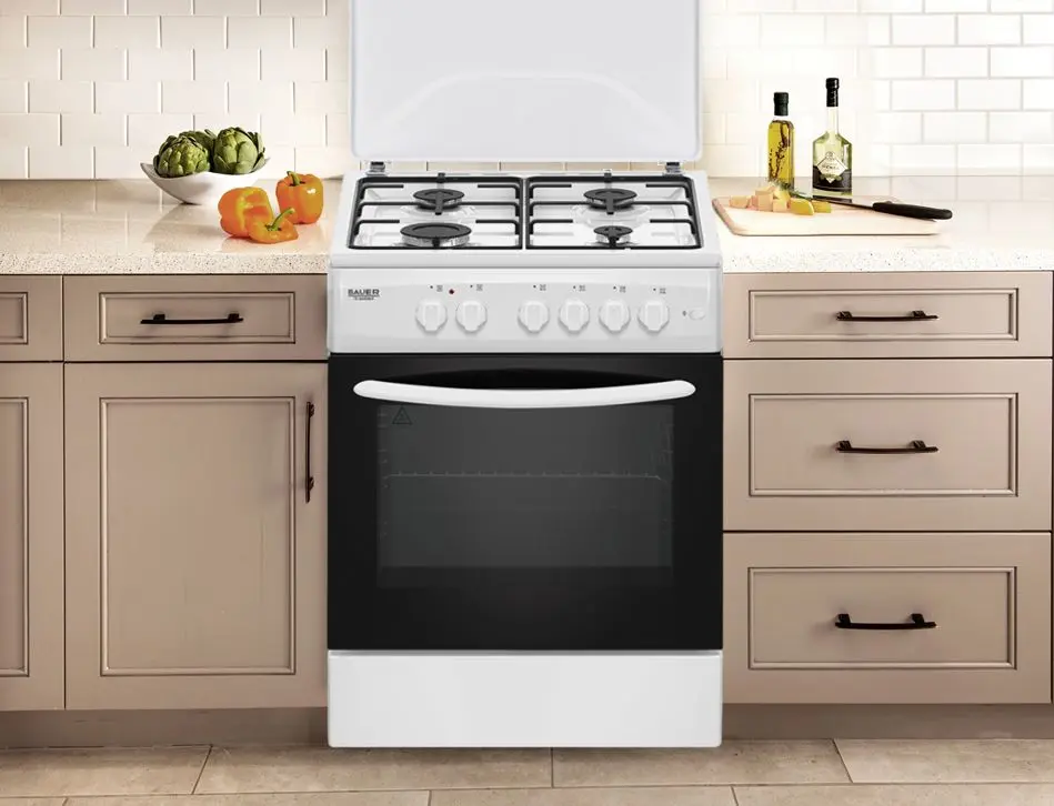 Aragaz combinat Bauer TE 6640 WIF (White)