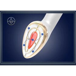 Аппарат для подтяжки лица Anlan 04-AMFY11-02A  (White/Golden) Thumb