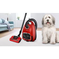 Aspirator Bosch ProAnimal BGL6PET1 (Red/Black) Thumb