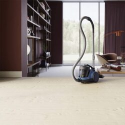 Пылесос Electrolux ECC21-4SB (Blue/Gray) Thumb