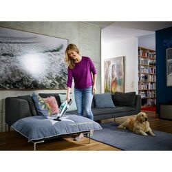 Aspirator cu acumulator Leifheit Regulus PowerVac 11925/03 (White) Thumb