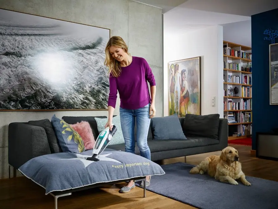 Aspirator cu acumulator Leifheit Regulus PowerVac 11925/03 (White)