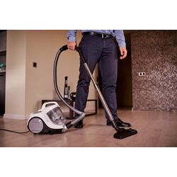 Aspirator Rowenta RO2957EA (White) Thumb