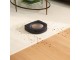 Aspirator robot iRobot Roomba S9+ (Black/Gold)