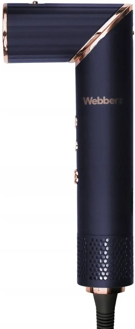 Multistyler 5in1 Webber Celia 05HD-1298 (Blue/Gold)