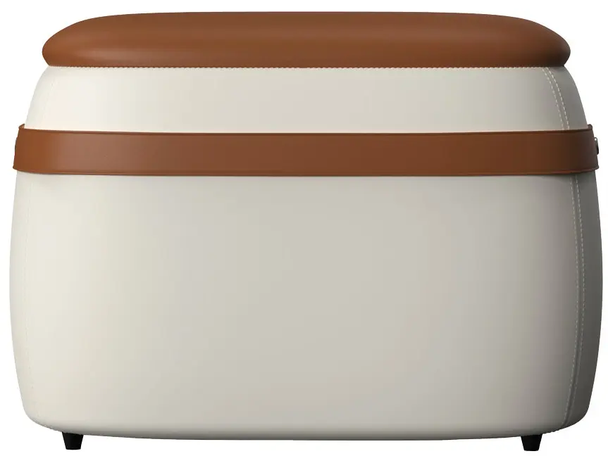 Стерилизатор для обуви iHunt Shoe Fresh (White/Brown)