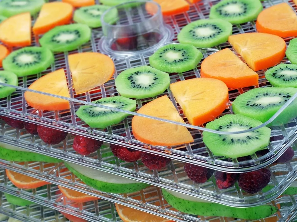 Uscator de legume si fructe Concept SO2041 (Grey) - 6