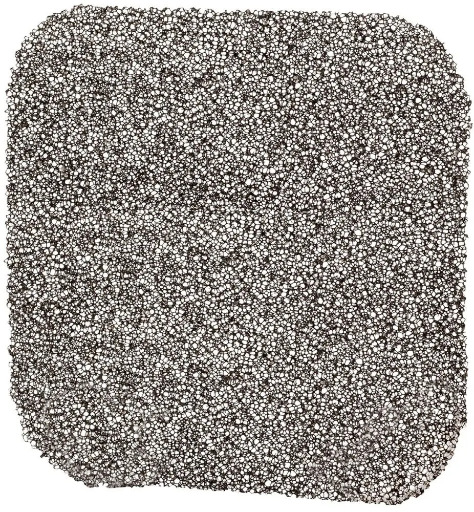 Uscator de legume si fructe Concept SO4000 (Black)