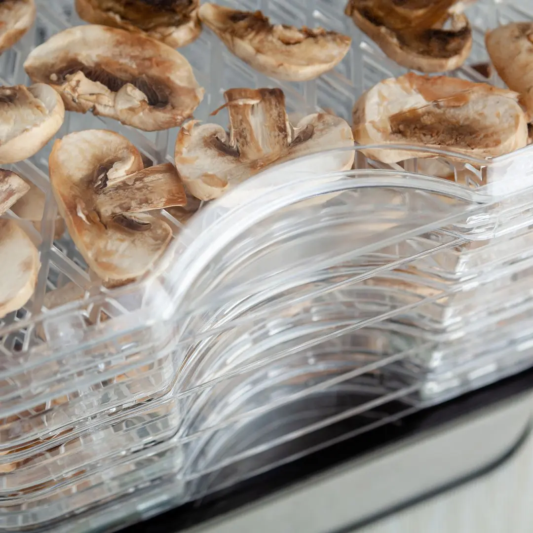 Uscator de legume si fructe Eldom 05SG500 (Inox)