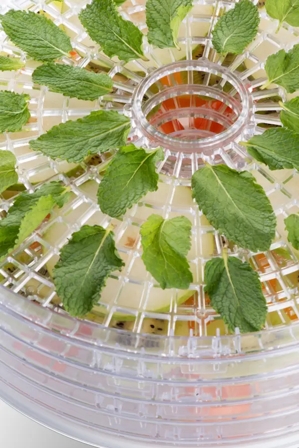 Uscator de legume si fructe ETA Secca 7301 90000 (White)