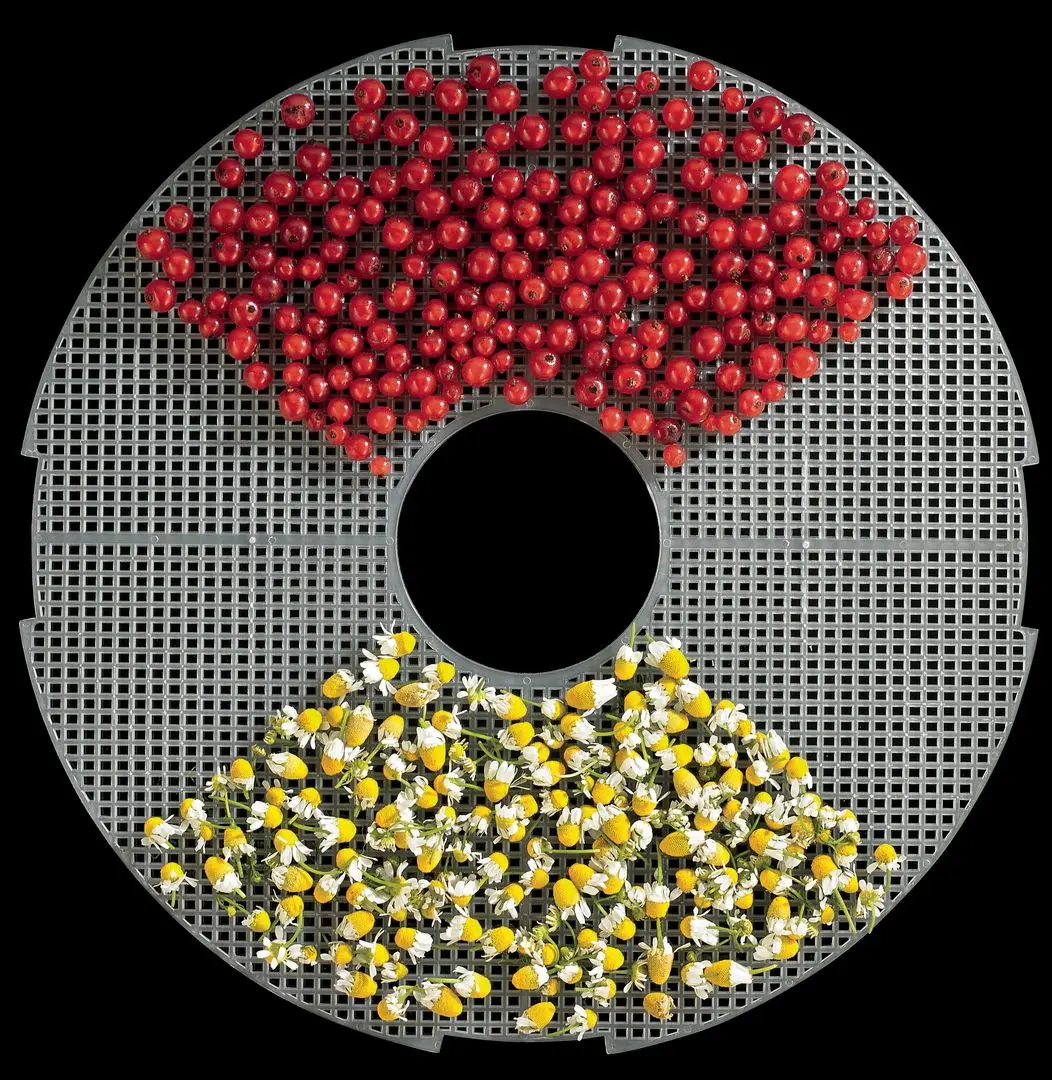 Uscator de legume si fructe Gorenje FDK24DW (White) - 5