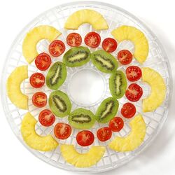 Сушилка для овощей и фруктов Gorenje FDK500GCW (White) Thumb