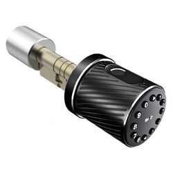 Incuietoare inteligenta SmartPass Florida (Black)