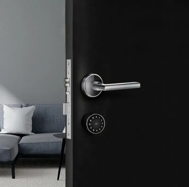 Incuietoare inteligenta SmartPass Florida (Black)