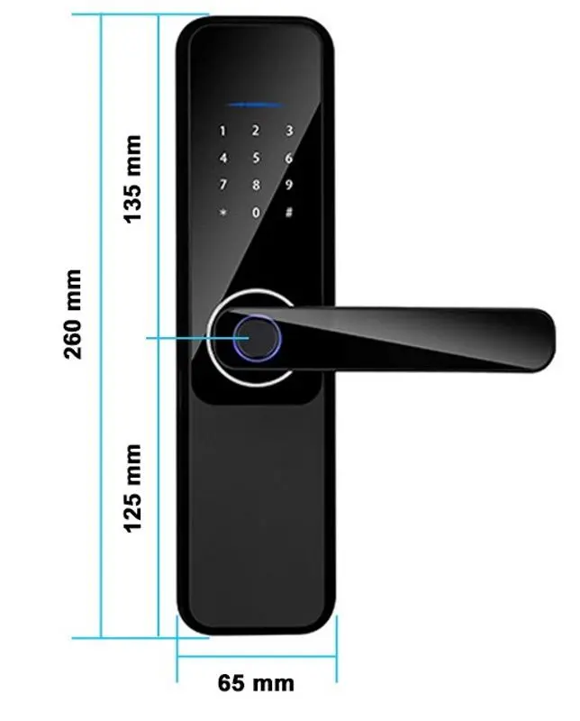 Incuietoare inteligenta SmartPass Malaga (Black) - 2