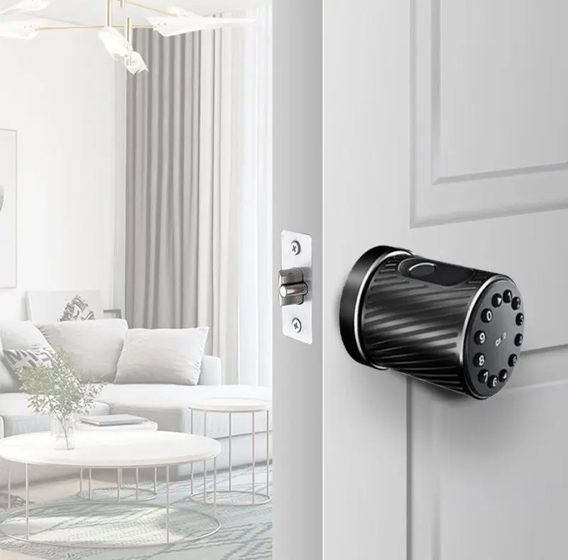 Incuietoare inteligenta SmartPass Miami (Black)