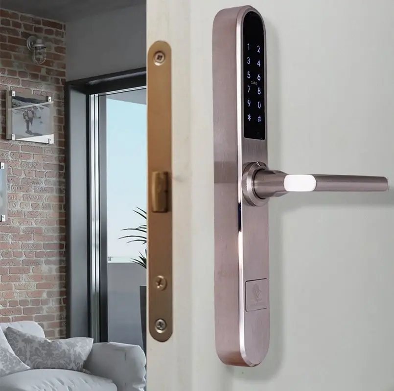 Incuietoare inteligenta SmartPass Paris (Silver)