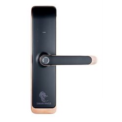 Incuietoare inteligenta SmartPass Tokyo (Black/Copper)