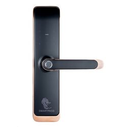 Incuietoare inteligenta SmartPass Tokyo Wi-Fi (Black/Copper)