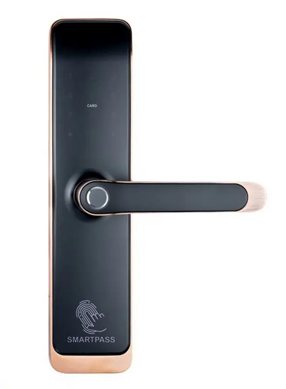 Incuietoare inteligenta SmartPass Tokyo Wi-Fi (Black/Copper)