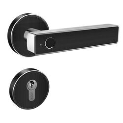 Incuietoare inteligenta SmartPass Vegas (Silver)