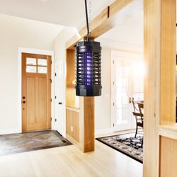 Lampa anti-insecte Windhager 638542 (Black) Thumb