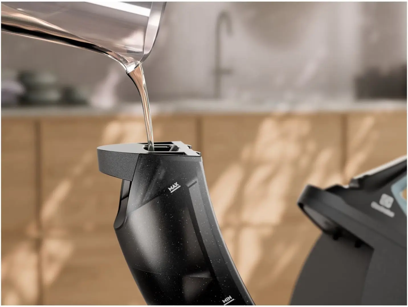 Fier de calcat Electrolux E8ST2-8OG (Black/Green)