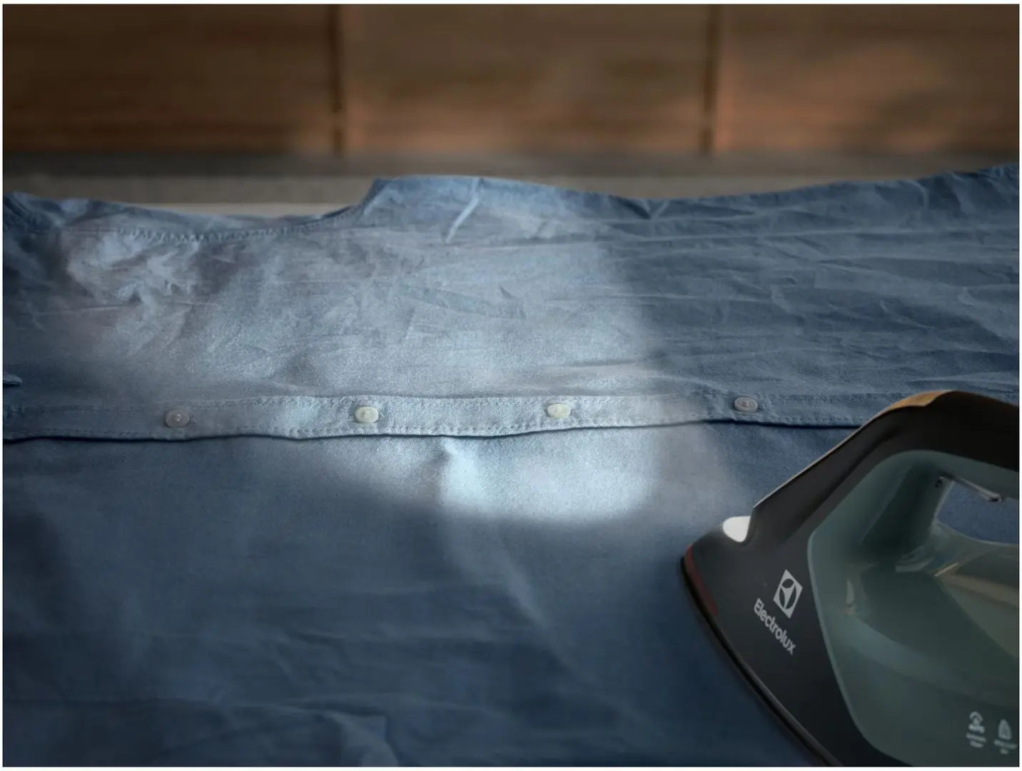 Fier de calcat Electrolux E8ST2-8OG (Black/Green)