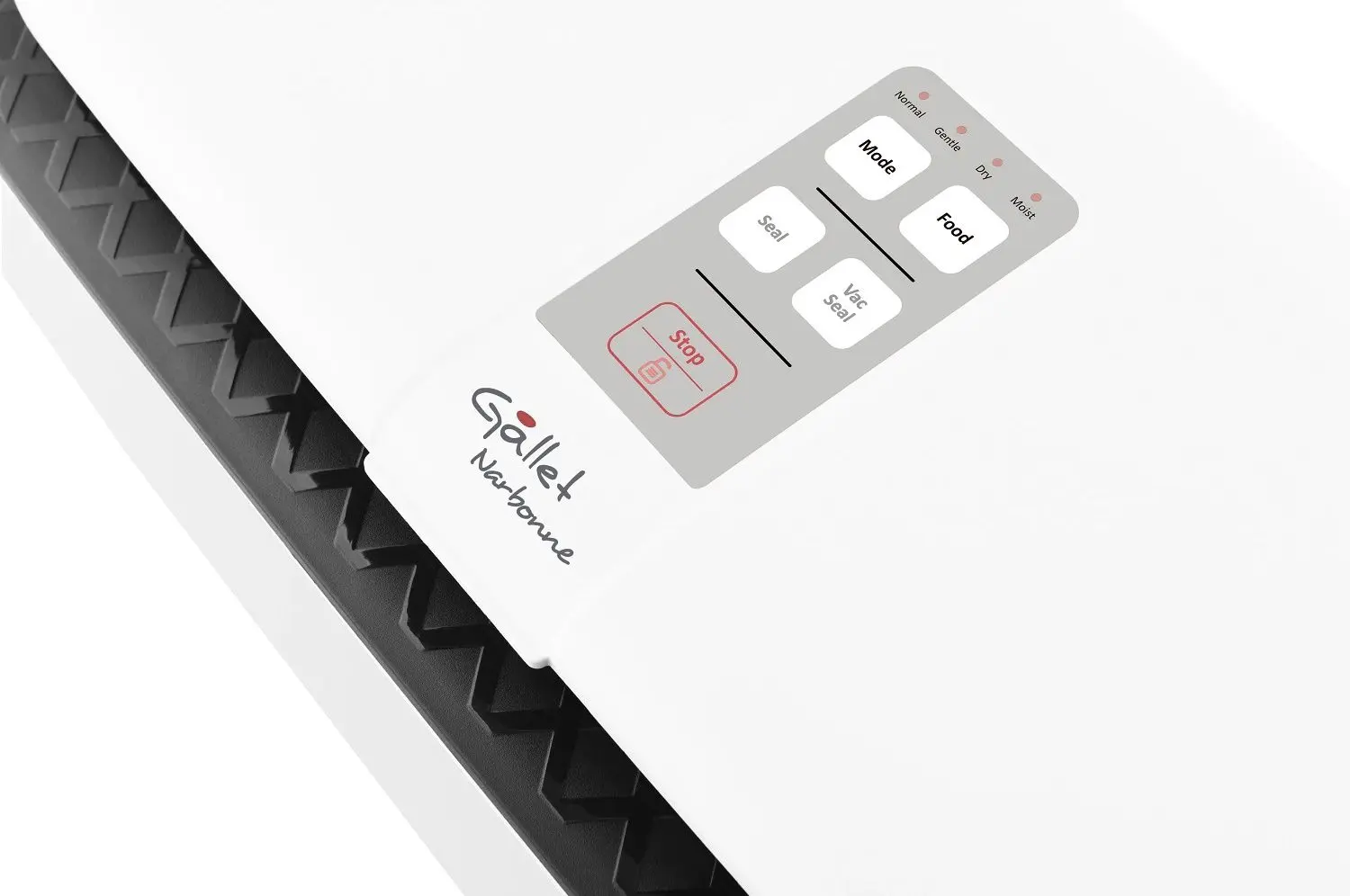 Вакуумный упаковщик Gallet MSV 250 (White)